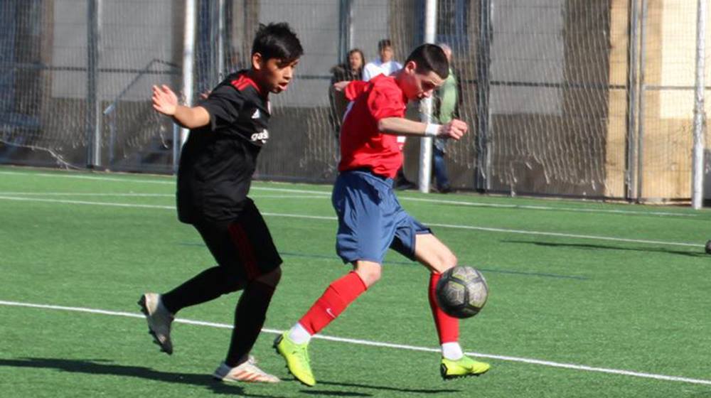 56656034_409643312947496_5280267286584754176_n